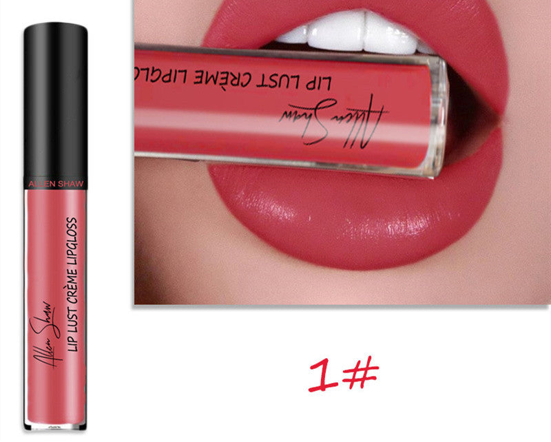 Silky Cream Texture Lip Gloss Aliexpress Shopee Cross-Border Exclusive Lip Glaze Lip Gloss Lipstick